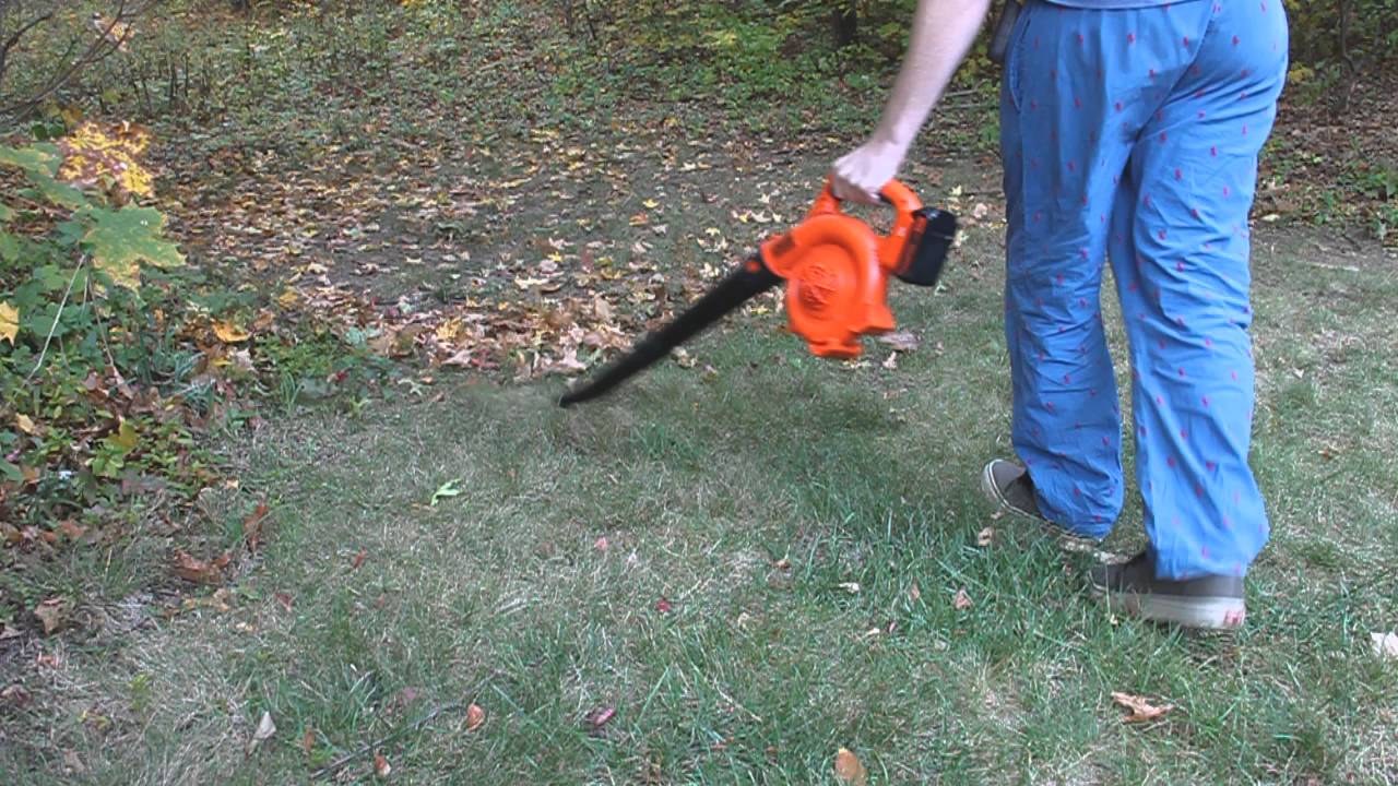 Black+Decker LSW40C Leaf Blower Review - Consumer Reports