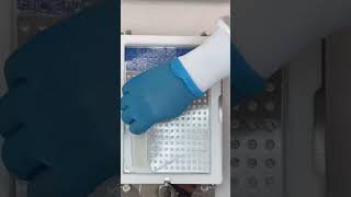 capsules filling #pharmacy #pharmacytechnician #medicine #compoundingpharmacy #makingmedicine