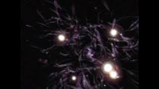 Download lagu Disturbed - The Night (HQ / Lyrics)