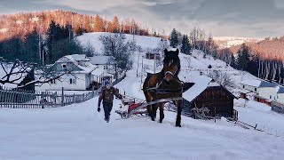 Hard life in a high mountain village. How food is delivered on horses