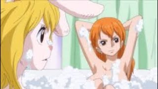 Nami and Carrot taking bath💦💦