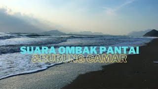 Suara Ombak Pantai dan Burung Camar