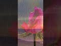 The Law of Resonant Alignment — Book Trailer