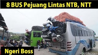 8 BUS Pejuang Lintas Nusa Tenggara