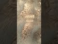 Anti Skid Bubble Rabbit Fur Door Mat Available Anti Skid Bubble Rabbit Fur Door Mat Available
