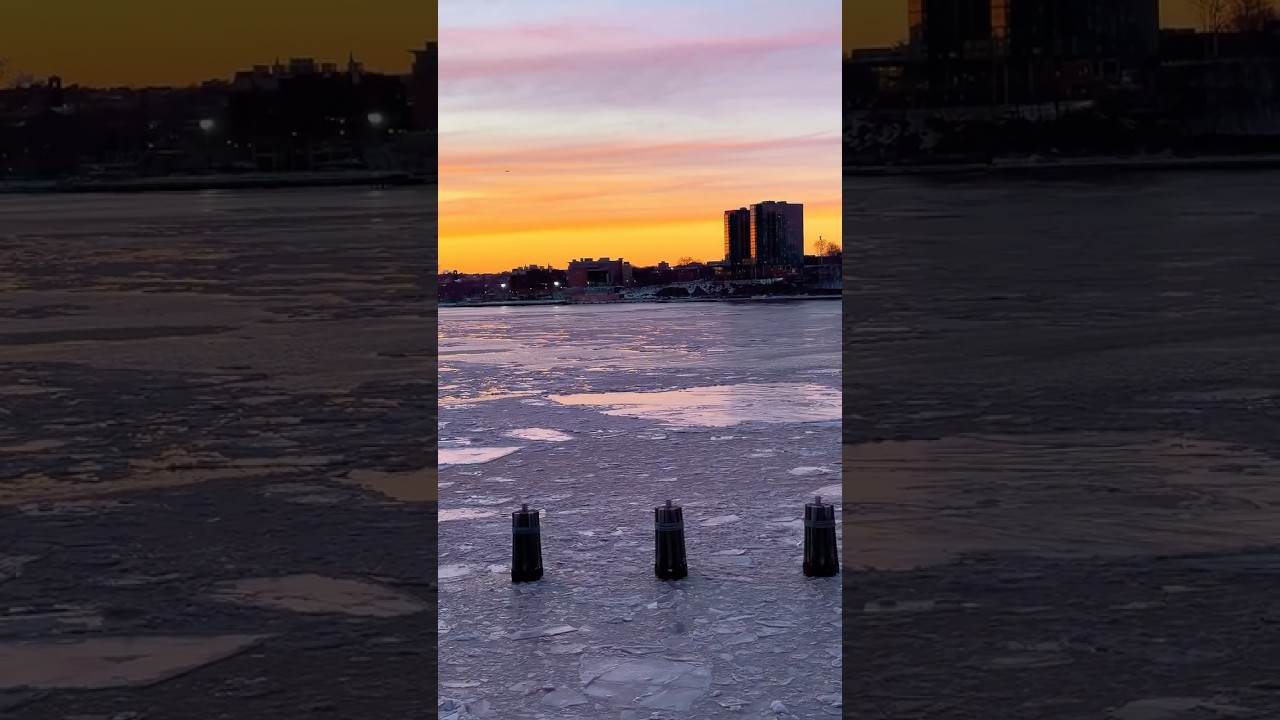 New York City after the blizzard 🌨️