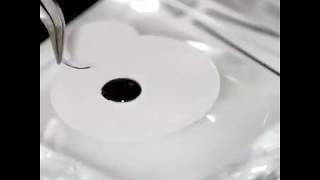 Видео МИКРО КАПЛИ КЛЕЯ НА ПУЧКЕ. ПРОЧНАЯ СЦЕПКА. ДОЛГАЯ НОСКА НАРАЩЁННЫХ РЕСНИЦ. Советуем посмотреть. (автор: Alena Master)