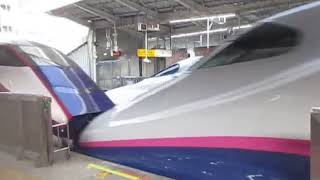 E2系1000番台J64編成やまびこ号仙台行＋E3系2000番台L64編成つばさ号新庄行東京入線
