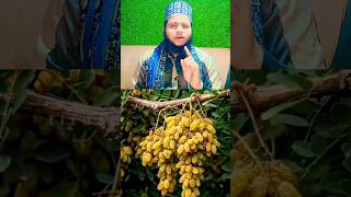 kishmish ke per dekh lo #trending #viral #shorts