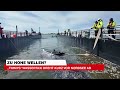 „Timmys“ Wassertaxi dreht kurz vor Nordsee ab | krone.tv NEWS