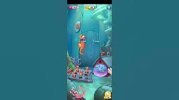 #escape time level 64 3x3 container sea horse