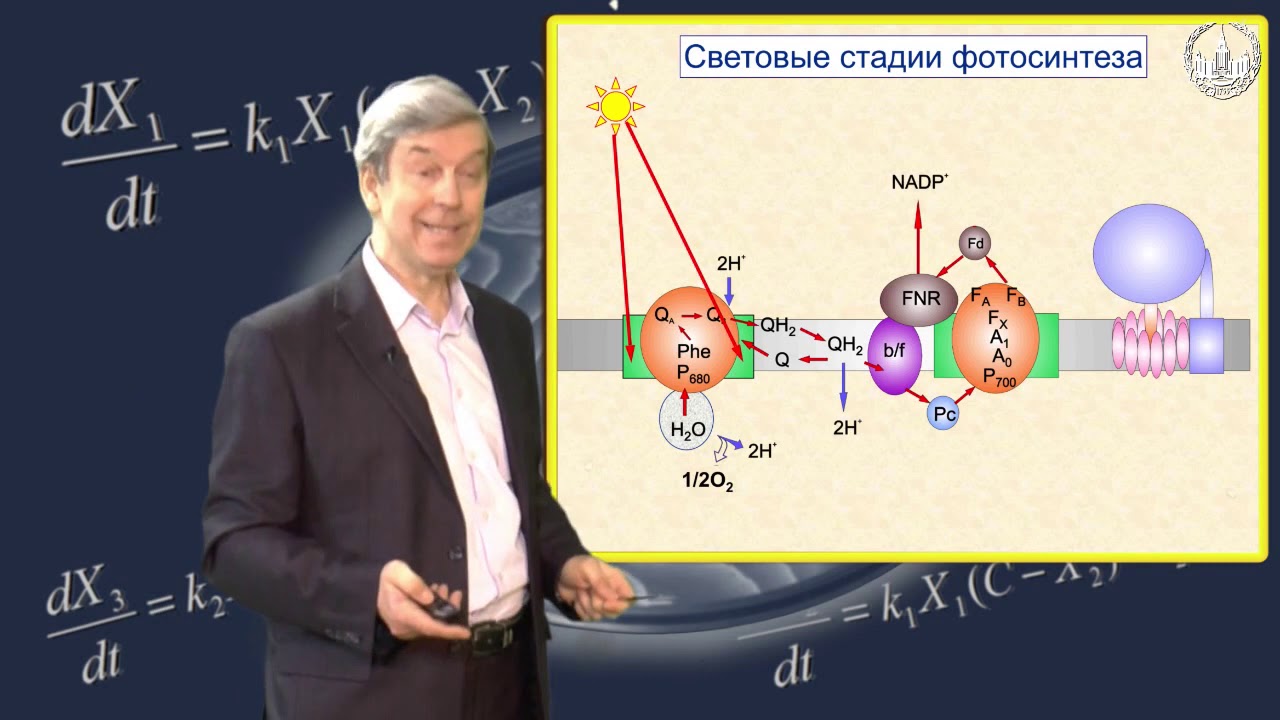 Биофизика учебник. Самойлов биофизика. Биофизика учебник для вузов.