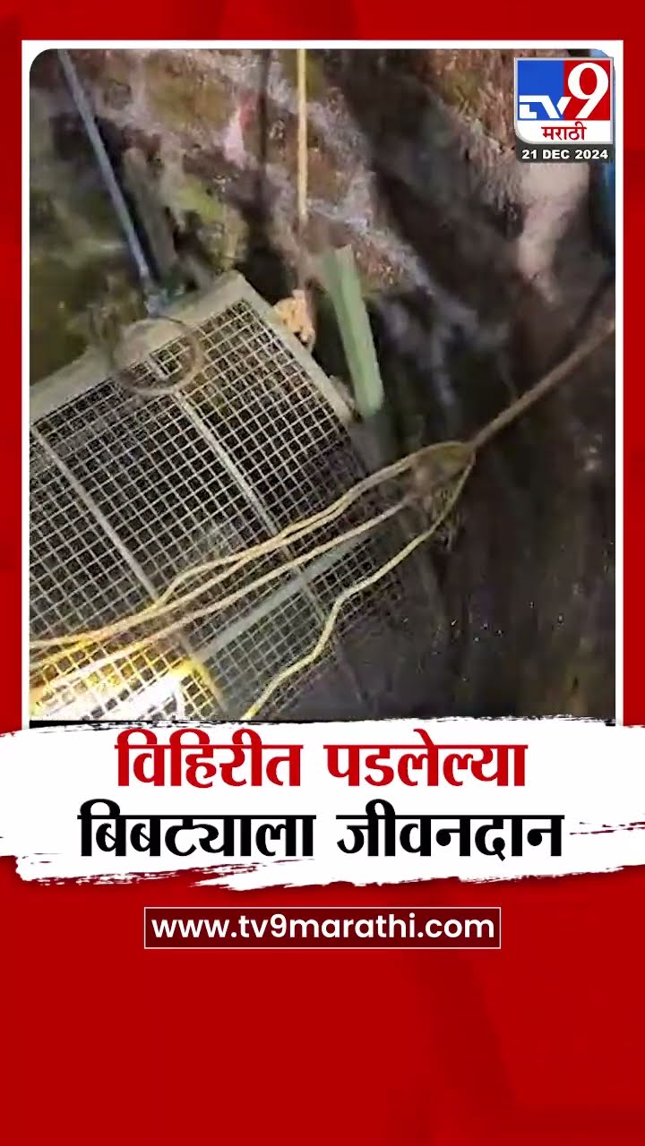 Ratnagiri News | विहिरीत पडलेल्या बिबट्याला जीवनदान