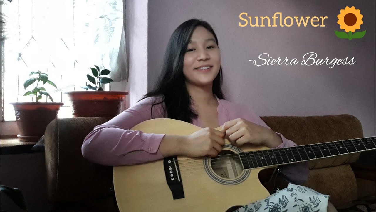 SunflowercoverSeirra burgess YouTube