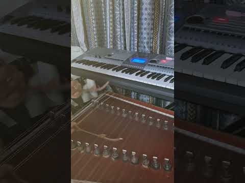 Birthday wishes 💐 SANTOOR STYLE #santoor #instrumental #fusionmusic #birthday