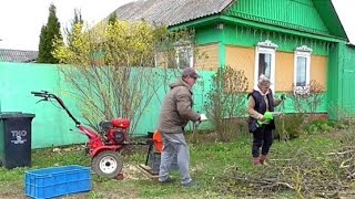 Деревня без прикрас, Беларусь. Не только для себя СОЗДАЁМ СЧАСТЬЕ в ГЛУШИ.