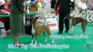 2011 UKC Top Ten Preliminaries - 2012 Premier | United Kennel Club