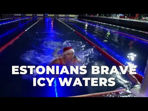 Estonians brave icy waters to break swimming relay world record