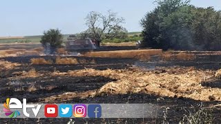 Trakyada Bu Yaz 126 Hektar Ormanlik Alan Yandi