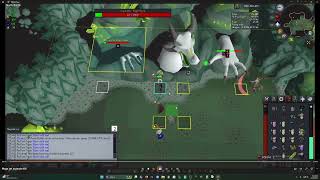 How to Mage set and Mage skip at COX