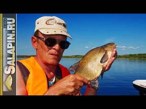 Ловля леща с лодки бортовыми удочками на озере Плещеево. Экшн-рыбалка. [salapinru]