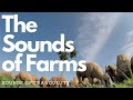 Farm Sounds 8 hours: The sound of Farmland for Sleep, Meditation, Study, Relax. Sleep Music