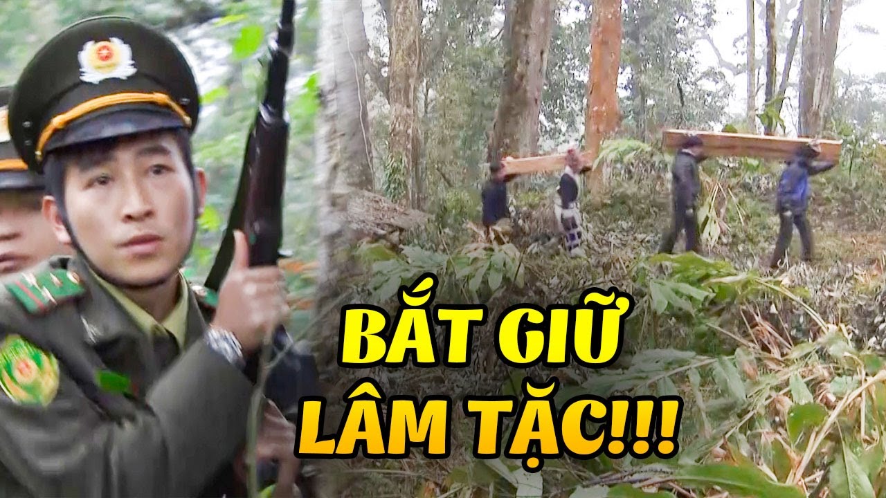 Các chiến sĩ kiểm lâm BẮT GIỮ khẩn cấp các đối tượng LÂM TẶC gian xảo | Khi Đàn Chim Trở Về | VTV