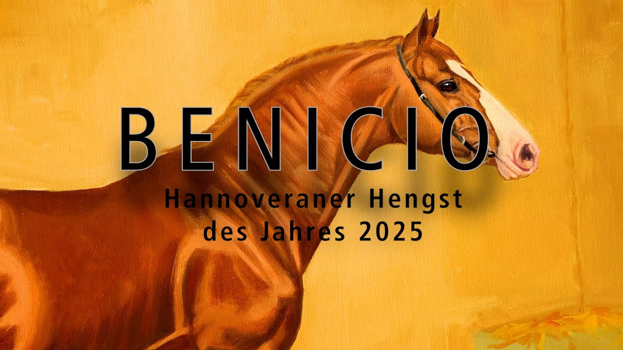 Hengst des Jahres 2025: Benicio