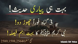 Quit These 3 Sins Immediately! || Hadees e Nabvi ﷺ || Islamic DA 