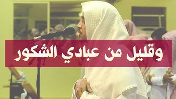 ( وقليلٌ من عباديَ الشكور ) ما تيسر من سورة سبأ بمقام الكرد عمر الدريويز ١٤٤١/٧/١هـ