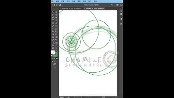 Chameleon creative logo design
