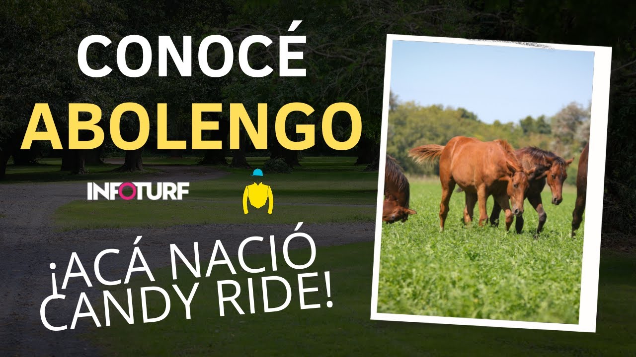 ¡Acá nació Candy Ride! Conocé el Haras Abolengo
