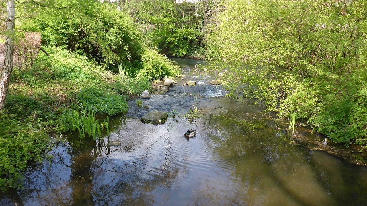 Radtour Rietberg Wasserwege und Parks