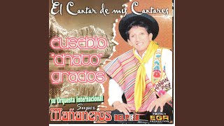 Video thumbnail of "Eusabio Chato Grados - La Orquesta"