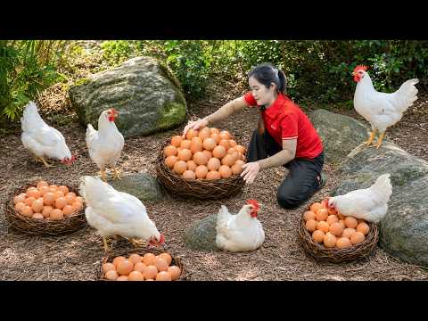 Harvesting White Chicken, Chicks & Goes to market sell | Transport Chickens by Truck