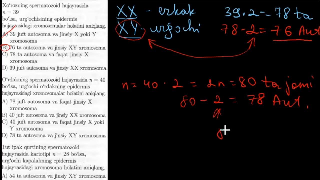 Bir yigit bilan eski fohisha Copro jinsiy aloqa rasmlar