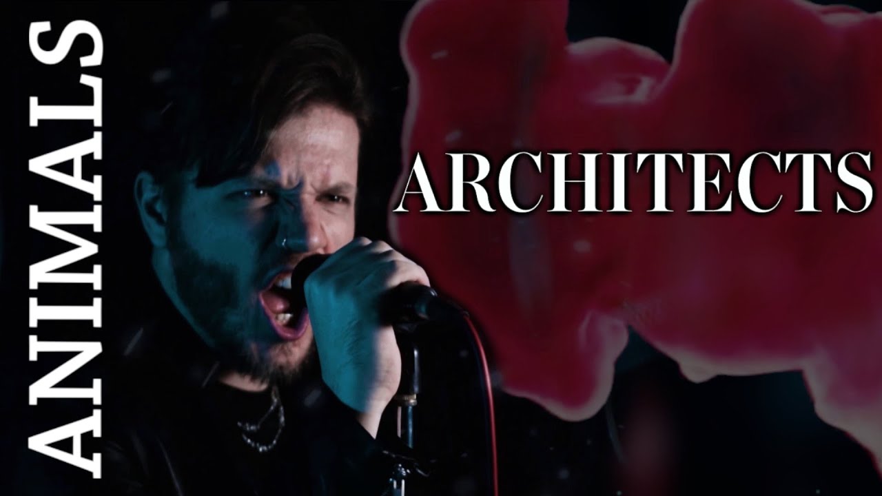 Architects - Animals (Full Cover)