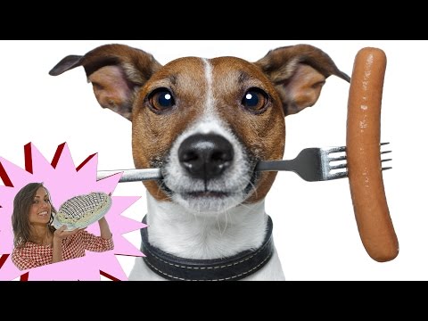 Video: Nutrire o non alimentare la carne: un veterinario assume diete vegetariane per cani