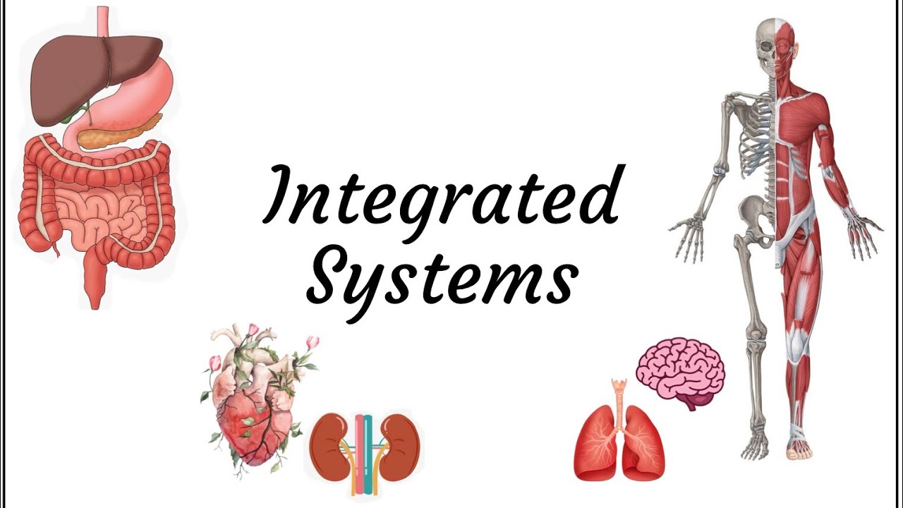 How to deal with integrated systems