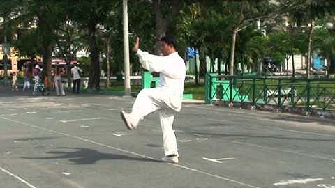 Thái cực quyền 88 thức - VS Huỳnh Nghĩa Đạt