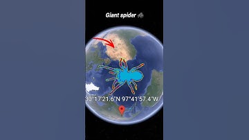 I found giant spider 🕷️ on Google map #googlemaps #shorts #viral #googleearth