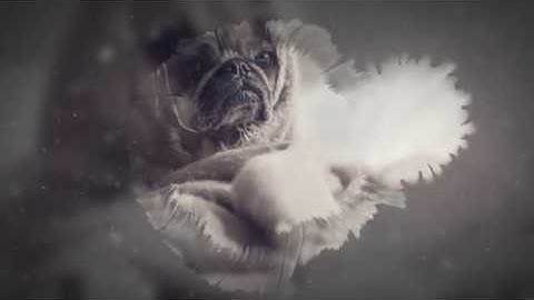 Ink Parallax Opener - After Effects Project Files | VideoHive 15185040