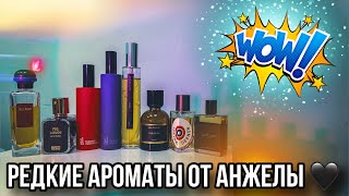 видео: РЕДКИЕ АРОМАТЫ ✨ ДУХИ ОТ АНЖЕЛЫ ✨ НИША / ЛЮКС / РЕДКОСТИ картинка: РЕДКИЕ АРОМАТЫ ✨ ДУХИ ОТ АНЖЕЛЫ ✨ НИША / ЛЮКС / РЕДКОСТИ