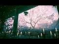 桜の樹の下 - KOKIA / Dear*ポラリス cover