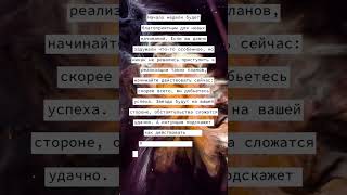 10 апреля 2023 г.