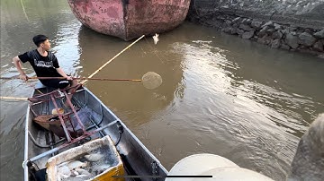 Đi test máy kích cá kéo cáp trên sông lớn.không ngờ gặp cá chép biết bay