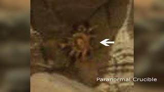 Alien Spider? Mysterious Object Found On Mars