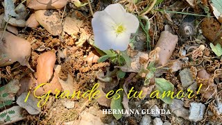 Video thumbnail of "GRANDE ES TU AMOR - HNA GLENDA LYRIC"