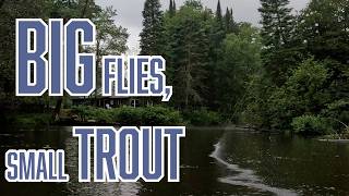 Fly Fishing for Trout in Northern Michigan