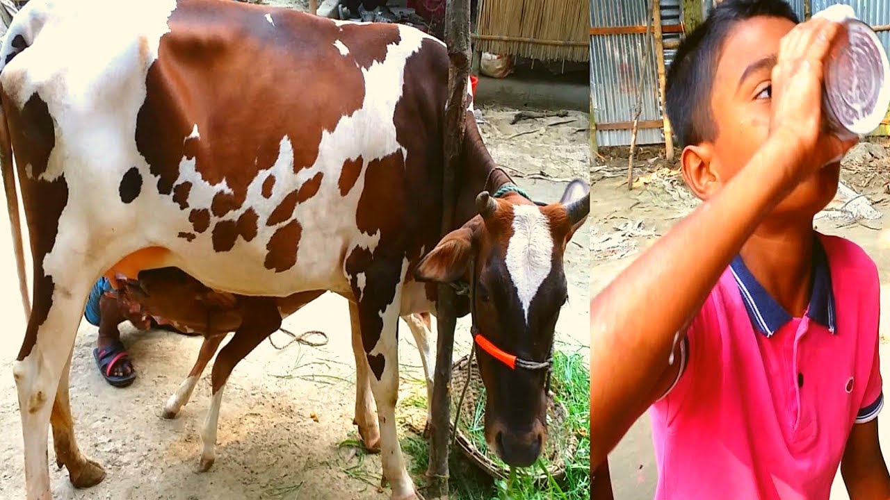 Can You Believe this Boy Is Eating Raw Milk Directly After Milk